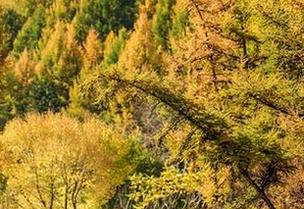 aiss – 若兮又带来最新写真集，日光浴：晒出自信，不只是表面功夫！