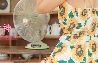 梦丝女神 – 晓晓女神范儿的写真作品，福利真心满满，让我忍不住想多看几眼！