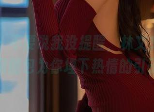 秀人网 – 不要说我没提醒，林文文的豹纹私房图包为你埋下热情的引子。